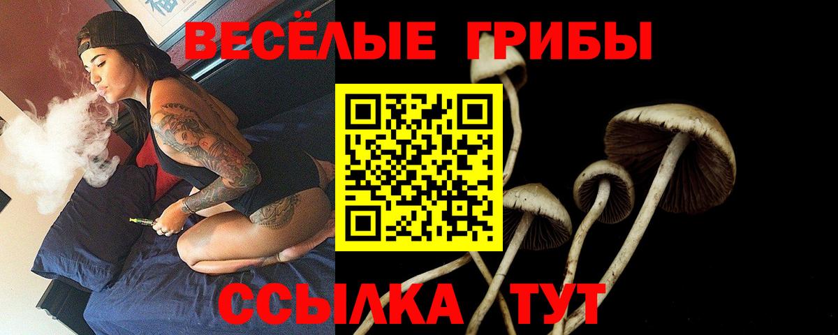 Галлюциногенные грибы Magic Shrooms  Галлюциногенные грибы MAGIC MUSHROOMS  Вход с VPN  Люберцы 