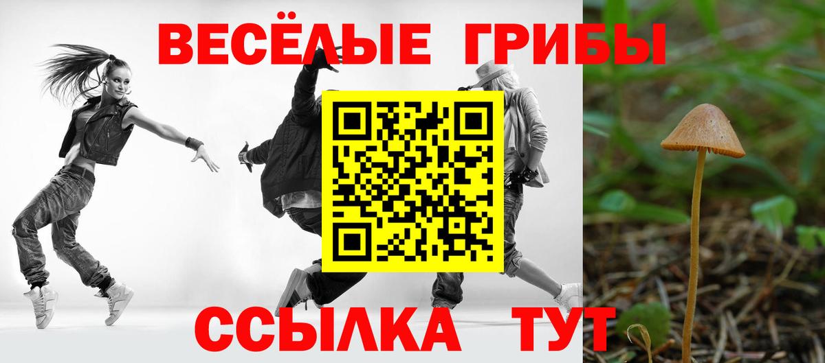 Псилоцибиновые грибы MAGIC MUSHROOMS Люберцы